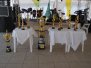 Lavagem da visgueira